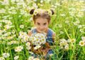 Cute little girl with a bouquet of daisies sits in a field with daisies on a sunny day