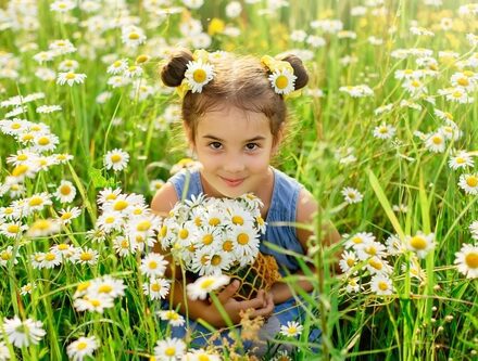 Cute little girl with a bouquet of daisies sits in a field with daisies on a sunny day