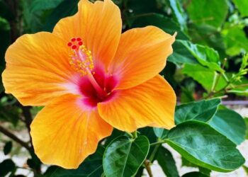 Processed with VSCO with l preset