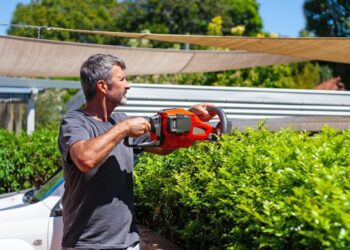 A man trimming a hedge in a backyard