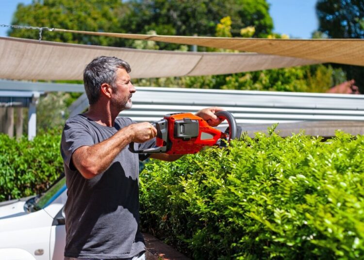 A man trimming a hedge in a backyard