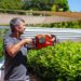 A man trimming a hedge in a backyard