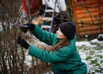 Příprava Na Jarní Zahradničení: Začínáme S Plánem A Semeny