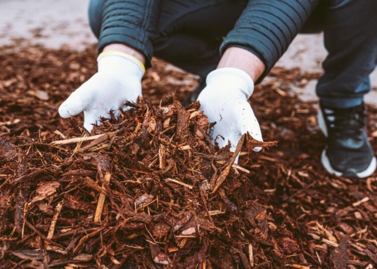 Mulcovaci Materialy Jak Je Spravne Vybrat A Vyuzit