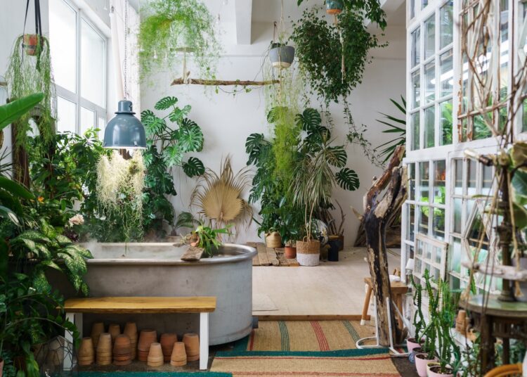 Rostliny ideální pro zimní zahrady: výběr a péče