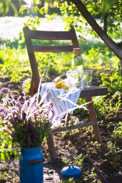 lemonade on a vintage wooden chair in the garden