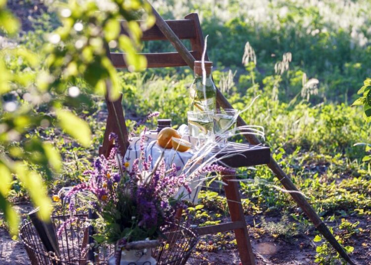 lemonade on a vintage wooden chair in the garden