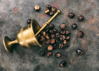 Guarana nuts and a bronze mortar on metal rusty background top view
