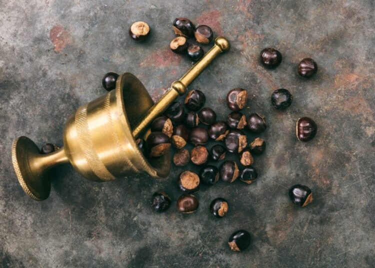Guarana nuts and a bronze mortar on metal rusty background top view