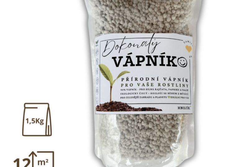 vapnik