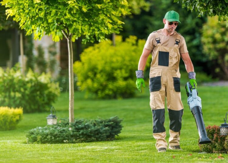 Gardener Blowing Leaves of the Lawn