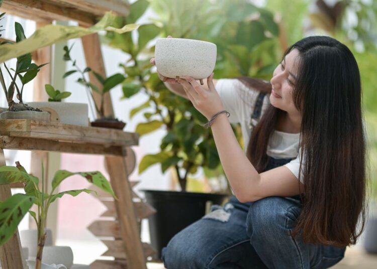 Jak Pestovat Brambory Ve Skleniku V Zime