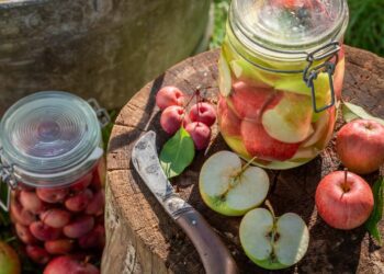 Zavařování ovocných kompotů s kořením