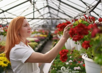 pece o zimni sklenik zakladni kroky 4