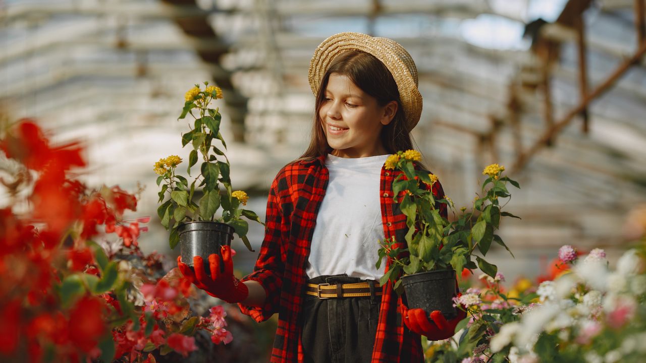 Pestovani Exotickeho Ovoce Ve Skleniku V Zime
