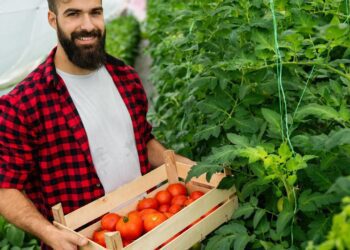 Pestovani Exotickeho Ovoce Ve Skleniku V Zime