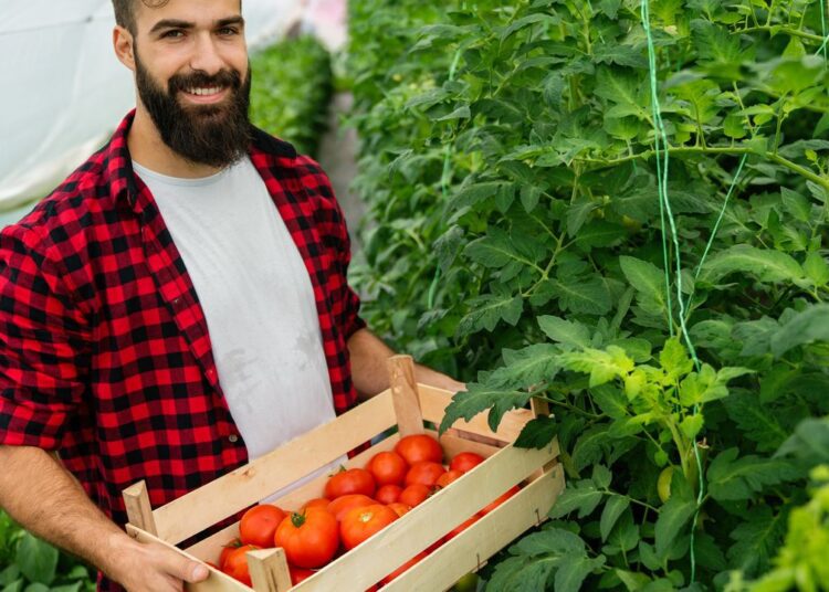 Pestovani Exotickeho Ovoce Ve Skleniku V Zime