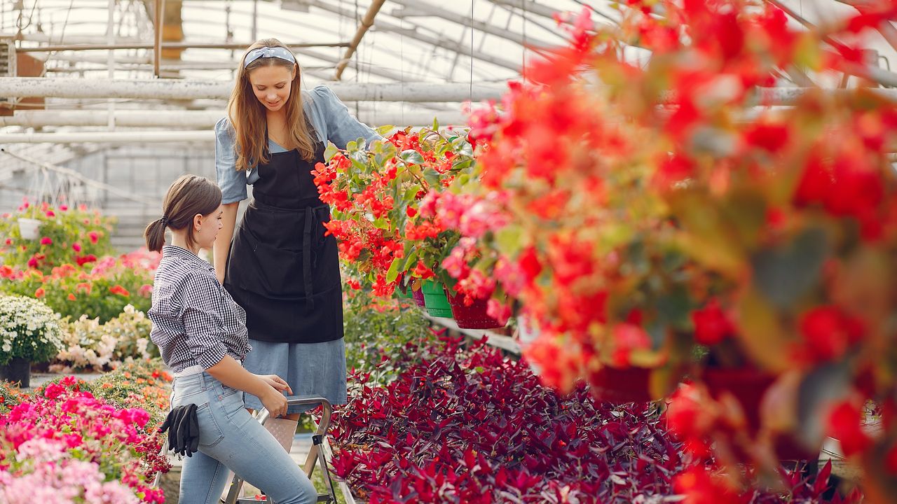 pestovani ve skleniku