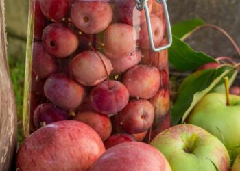 Zavařování jablíček s karamelovou příchutí