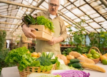 zimni udrzba sklenikove konstrukce 5