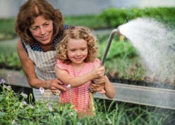 skleník rodina foto