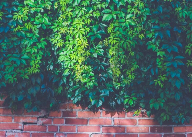 brick wall 1869537 1280