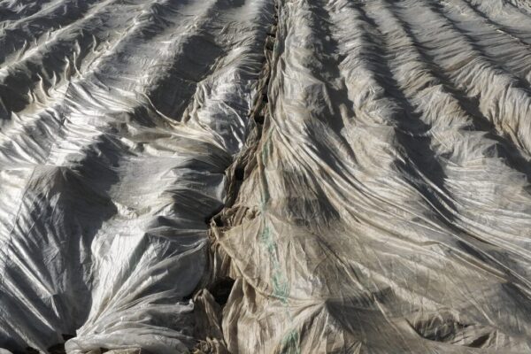 vegetable fleece 3352460 1280