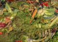 compost 3663514 1280