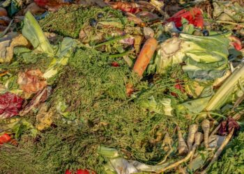 compost 3663514 1280