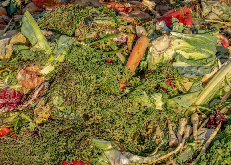 compost 3663514 1280
