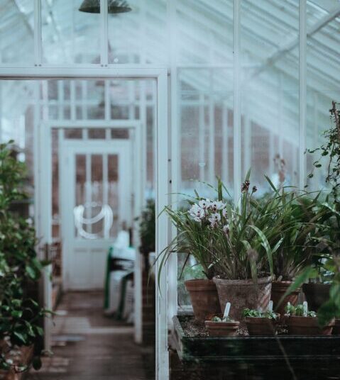 greenhouse 2563992 1280