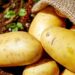 potatoes 1585060 1280
