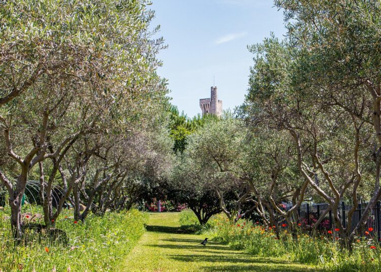 provence 4707842 1280