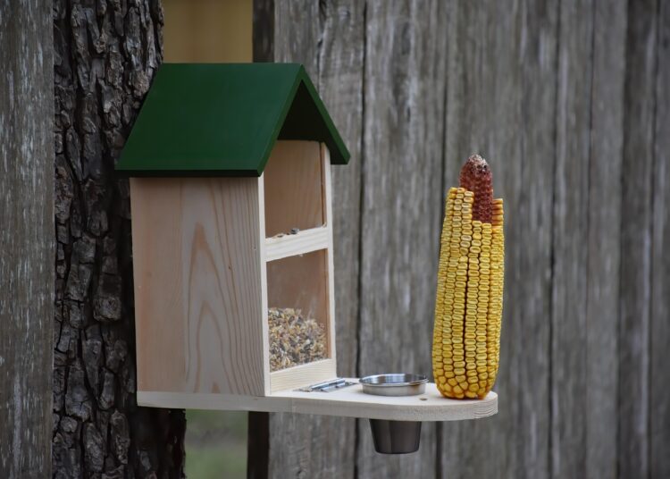 squirrel feeder 7704220 1280