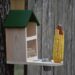 squirrel feeder 7704220 1280