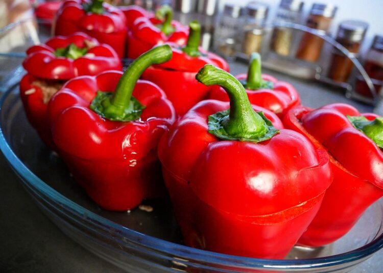 stuffed pepper 5022880 1280