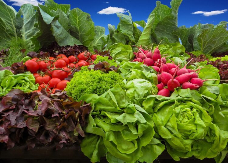 vegetables 905382 1280