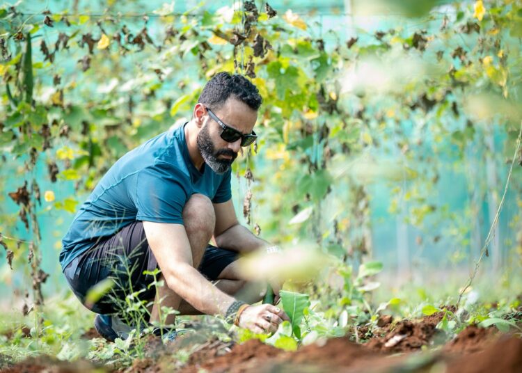 agriculture 6942153 1280