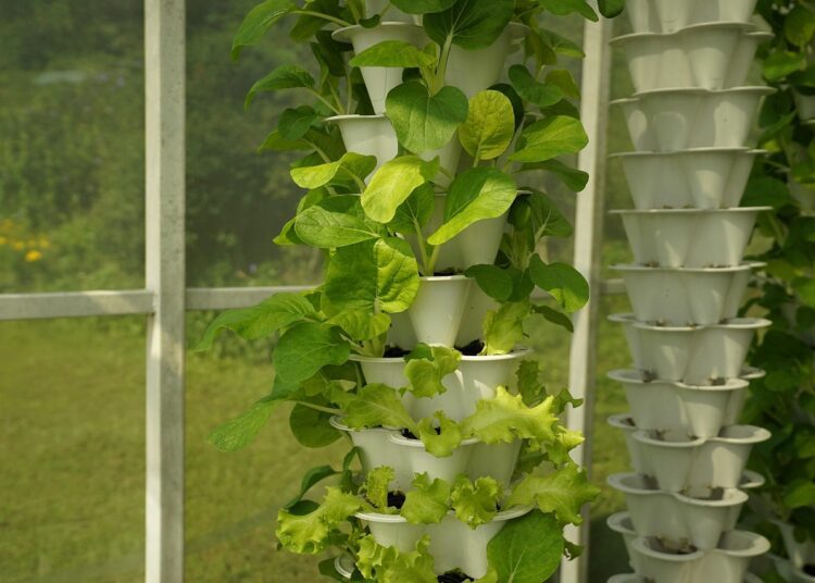 aquaculture 5990462 1280