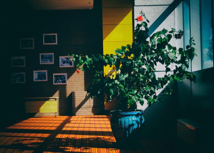 architecture 2565777 1280