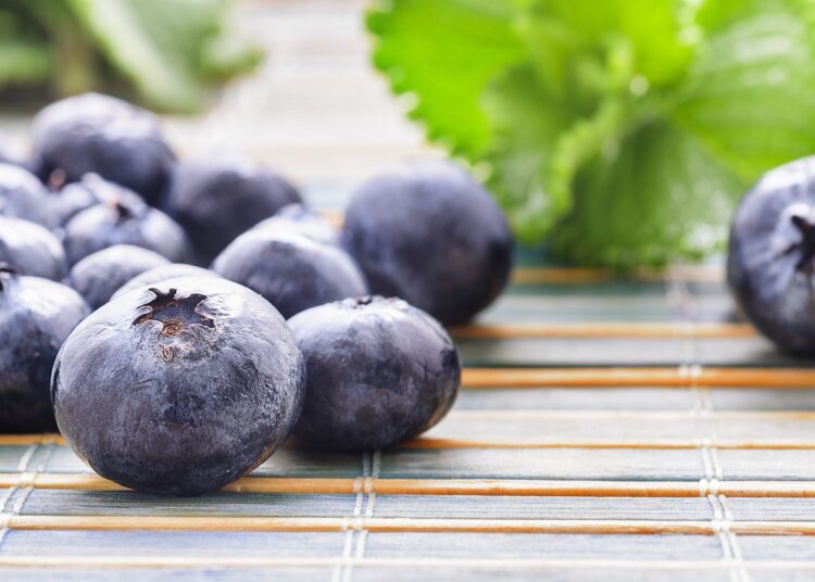 blueberries 1838673 1280