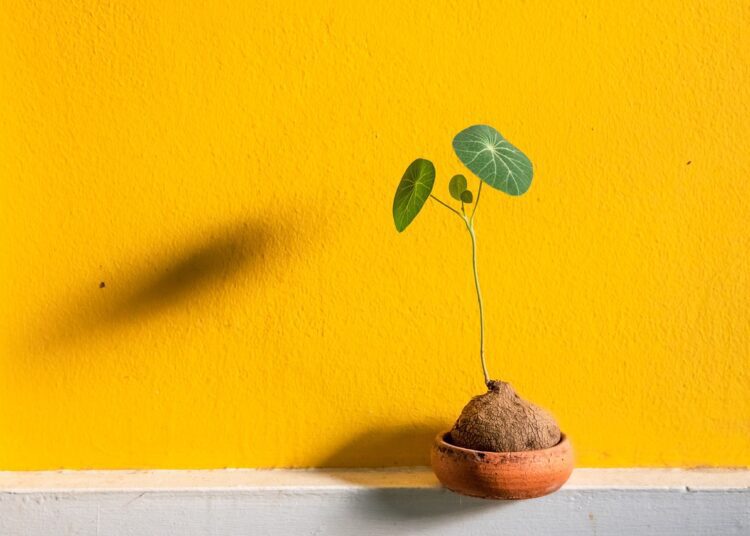 ceramic 5510008 1280