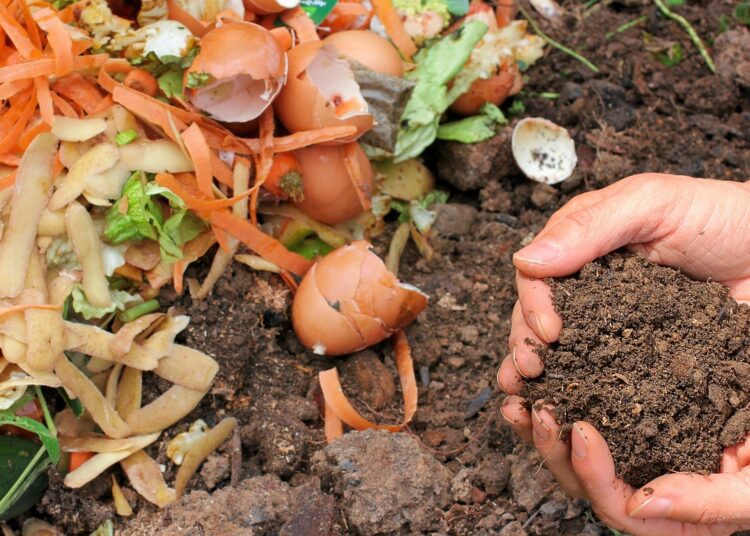 compost 6053136 1280