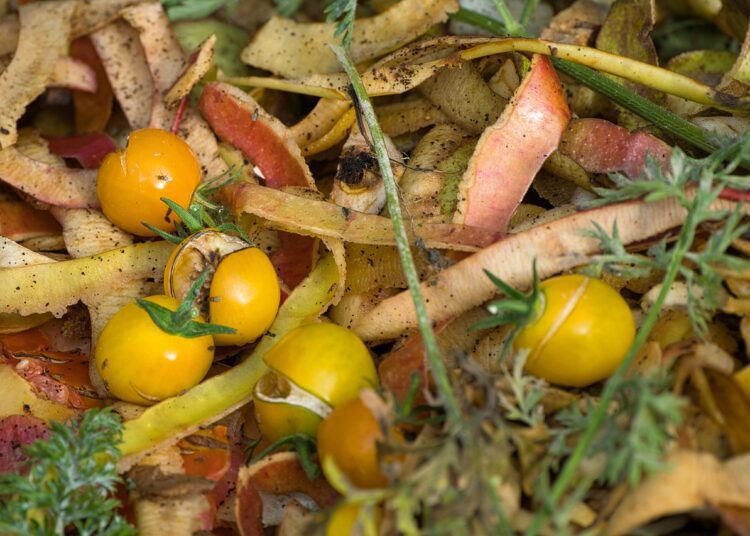 compost 7507510 1280