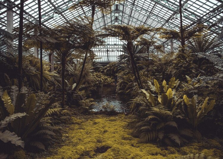 conservatory 4161955 1280