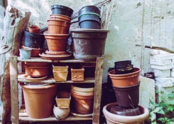 flower pots 8033797 1280