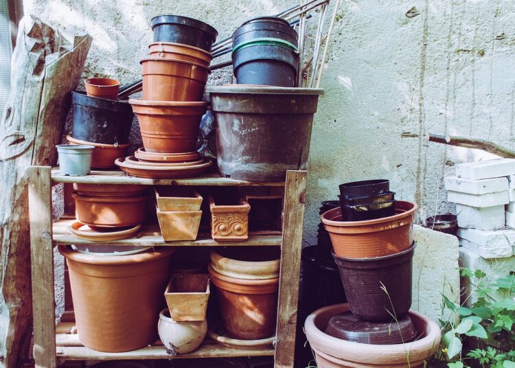 flower pots 8033797 1280