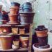 flower pots 8033797 1280