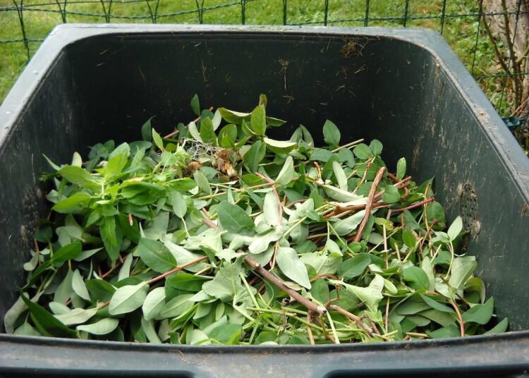 green waste 486011 1280