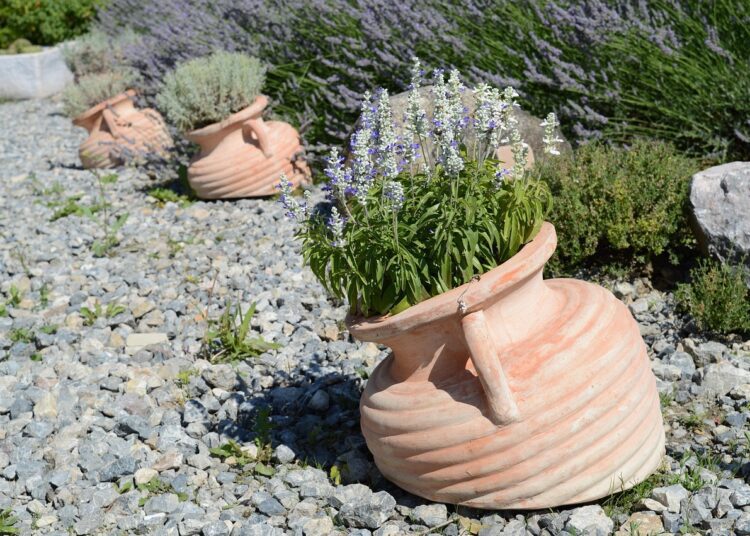 lavender 2658788 1280